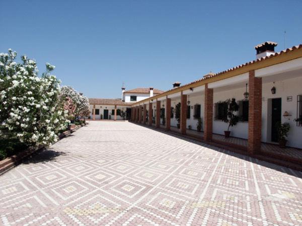 Apartment Cortijo De Frias Cabra