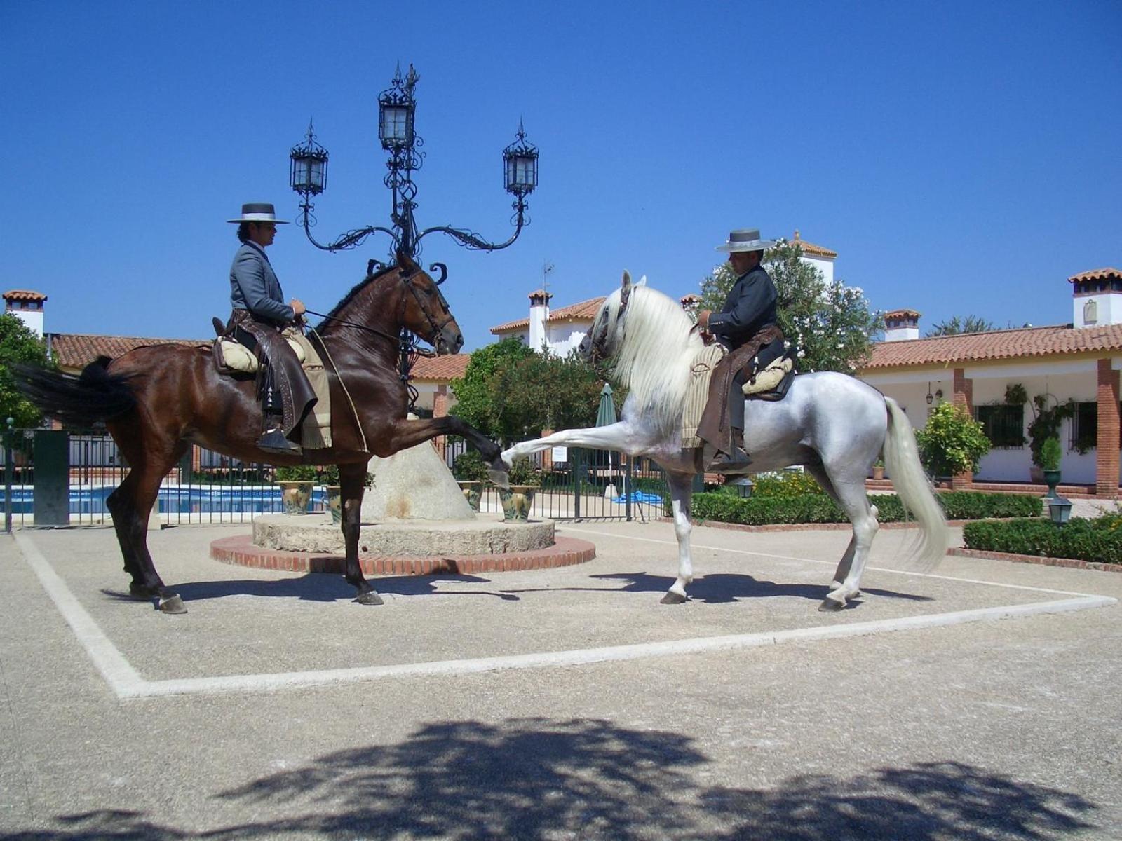 Apartment Cortijo De Frias Cabra