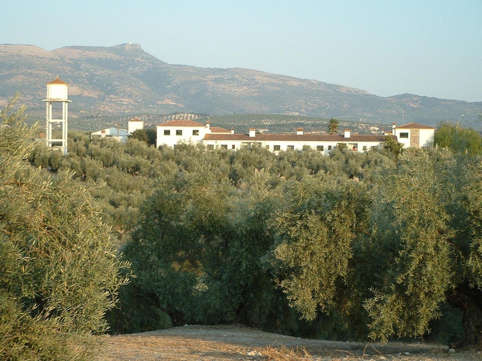 Apartment Cortijo De Frias Cabra