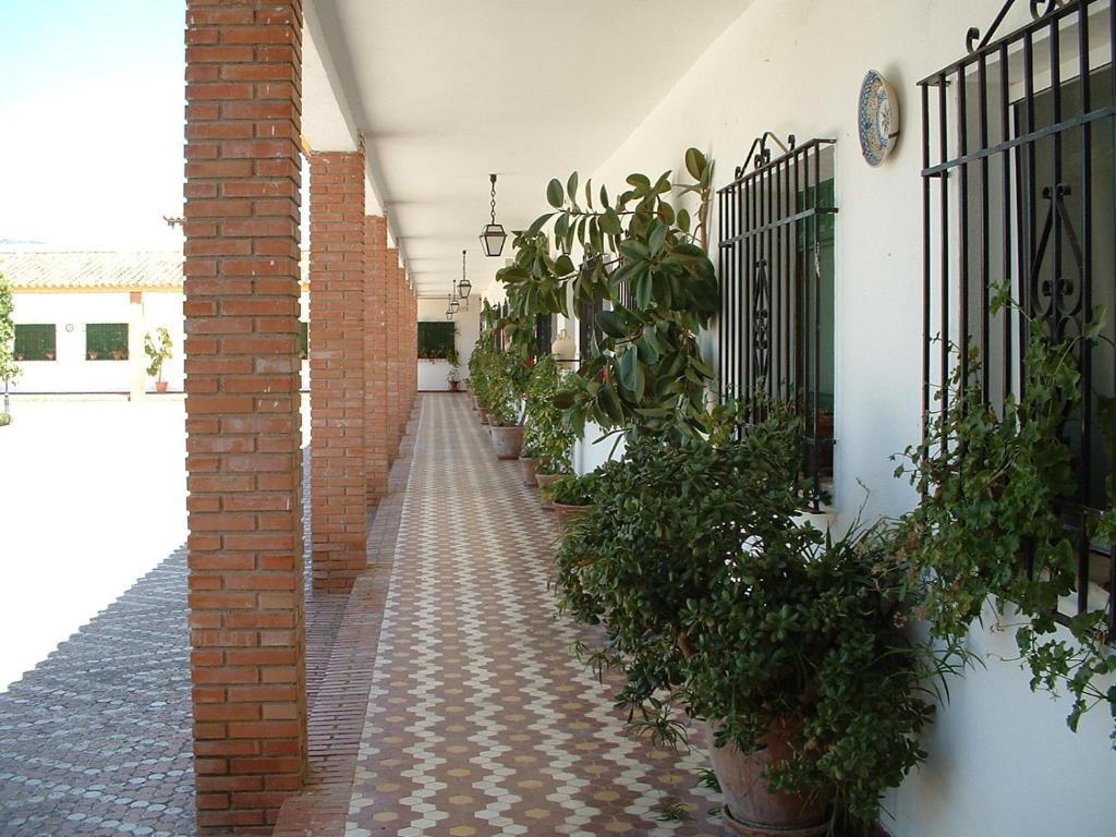 Cortijo De Frias Apartment